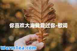 你喜欢大海我爱过你-歌词