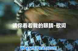 请你看着我的眼睛-歌词