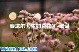 泰戈尔《生如夏花》-歌词