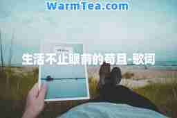 生活不止眼前的苟且-歌词