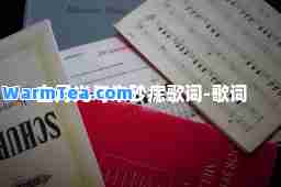 白月光与朱砂痣歌词-歌词