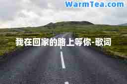 我在回家的路上等你-歌词