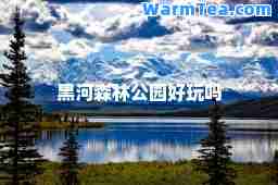 黑河森林公园好玩吗