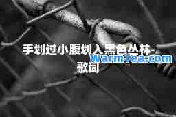 手划过小腹划入黑色丛林-歌词