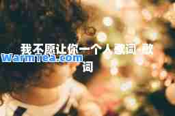 我不愿让你一个人歌词-歌词