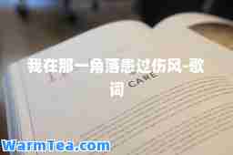 我在那一角落患过伤风-歌词
