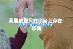 我要的爱只在你身上存在-歌词