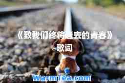 《致我们终将逝去的青春》-歌词