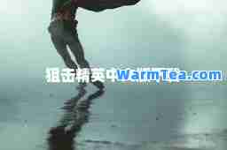 狙击精英中文版下载