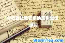 今夜就让我狠狠地想你歌词-歌词