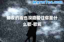 那夜的雨也没能留住你是什么歌-歌词