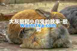 大灰狼和小白兔的故事-歌词