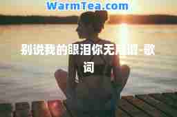 别说我的眼泪你无所谓-歌词