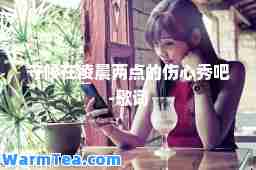 守候在凌晨两点的伤心秀吧-歌词