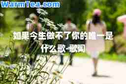 如果今生做不了你的是什么歌-歌词