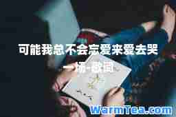 可能我总不会忘爱来爱去哭一场-歌词