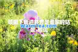 暖阳下我迎芬芳是谁家的姑娘-歌词