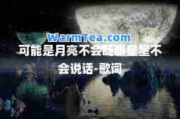 可能是月亮不会眨眼星星不会说话-歌词