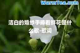 洁白的婚纱手捧着鲜花是什么歌-歌词
