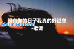 没有你的日子我真的好孤单-歌词