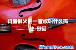 抖音很火的一首歌叫什么孤独-歌词