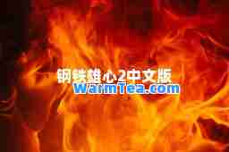 钢铁雄心2中文版
