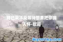我已来不及等待想要把你拥入怀-歌词