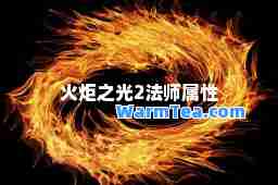 火炬之光2法师属性