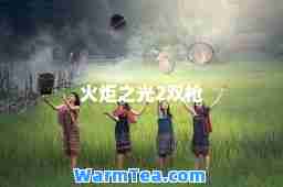火炬之光2双枪