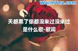 天都黑了你都没来过没来过是什么歌-歌词