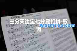 三分天注定七分靠打拼-歌词