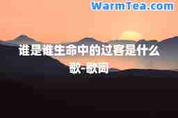 谁是谁生中的过客是什么歌-歌词