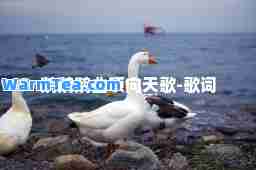 鹅鹅鹅曲项向天歌-歌词