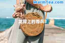 龙背上的奇3