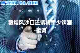 狼烟风沙口还请将军少饮酒-歌词