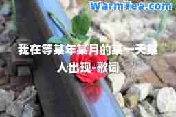 我在等某年某月的某某人出现-歌词