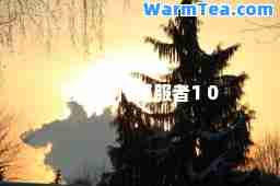帝国时代征服者1 0