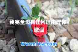 我完全没有任何理由理你-歌词