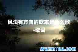风没有方向的吹来是什么歌-歌词
