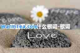 那么爱你为什么歌词-歌词