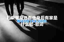 后来我身边有他身后有家是什么歌-歌词