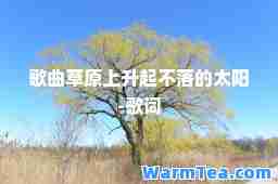 歌曲草原上升起不落的太阳-歌词