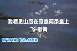 我看见山鹰在寂寞两条鱼上飞-歌词