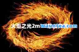 火炬之光2mod怎么安装