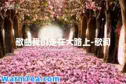 歌曲我们走在大路上-歌词