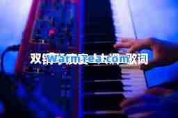 双钢琴演奏d大调-歌词