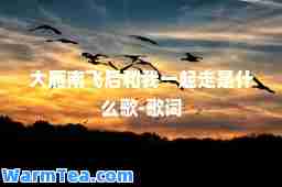 大雁南飞后和我一起走是什么歌-歌词