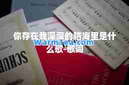 你存在我深深的脑海里是什么歌-歌词