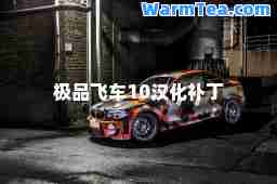飞车10汉化补丁