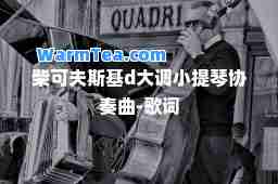 柴可夫斯基d大调小提琴协奏曲-歌词